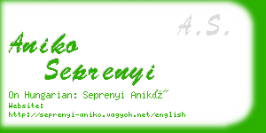aniko seprenyi business card